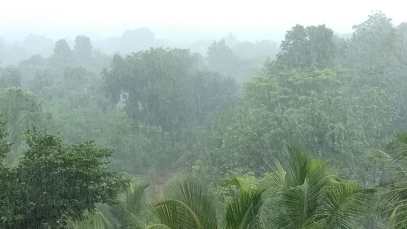 Rains_in_Manipal_(Western_Ghats)1.jpg